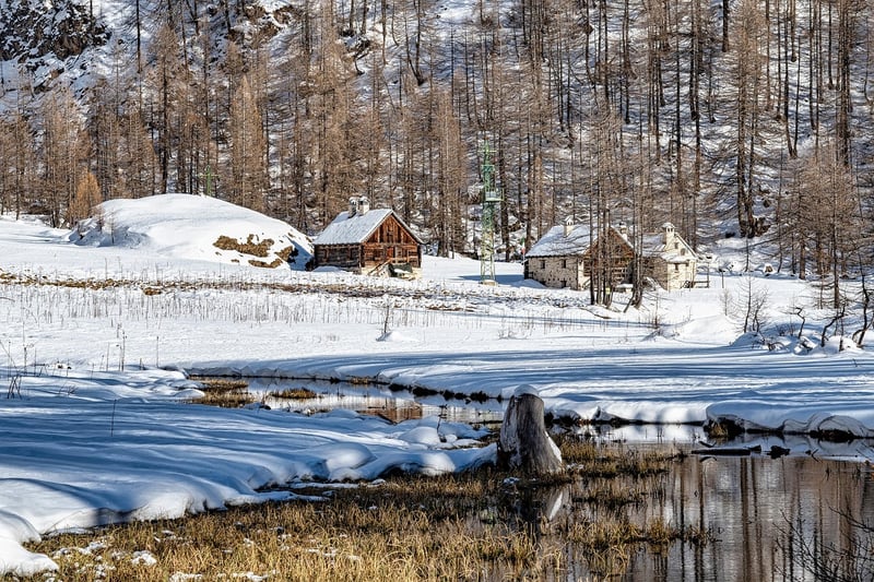 Whimsical Cabins